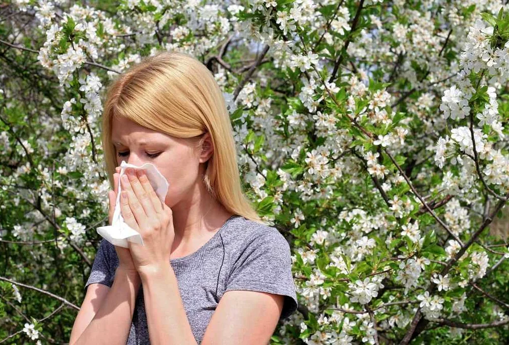 Что такое пыльцевая аллергия и как она влияет на зрение?