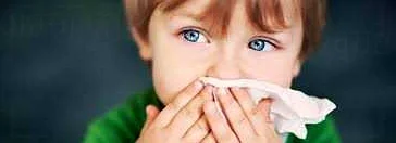 Как узнать, есть ли у ребенка пыльцевая аллергия