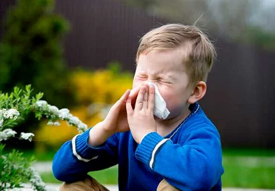 Советы по снижению симптомов пыльцевой аллергии