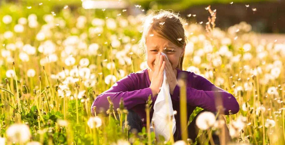 Пыльцевой аллерген pollen-allergen
