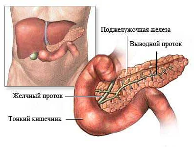 Причины образования жидкости в поджелудочной железе
